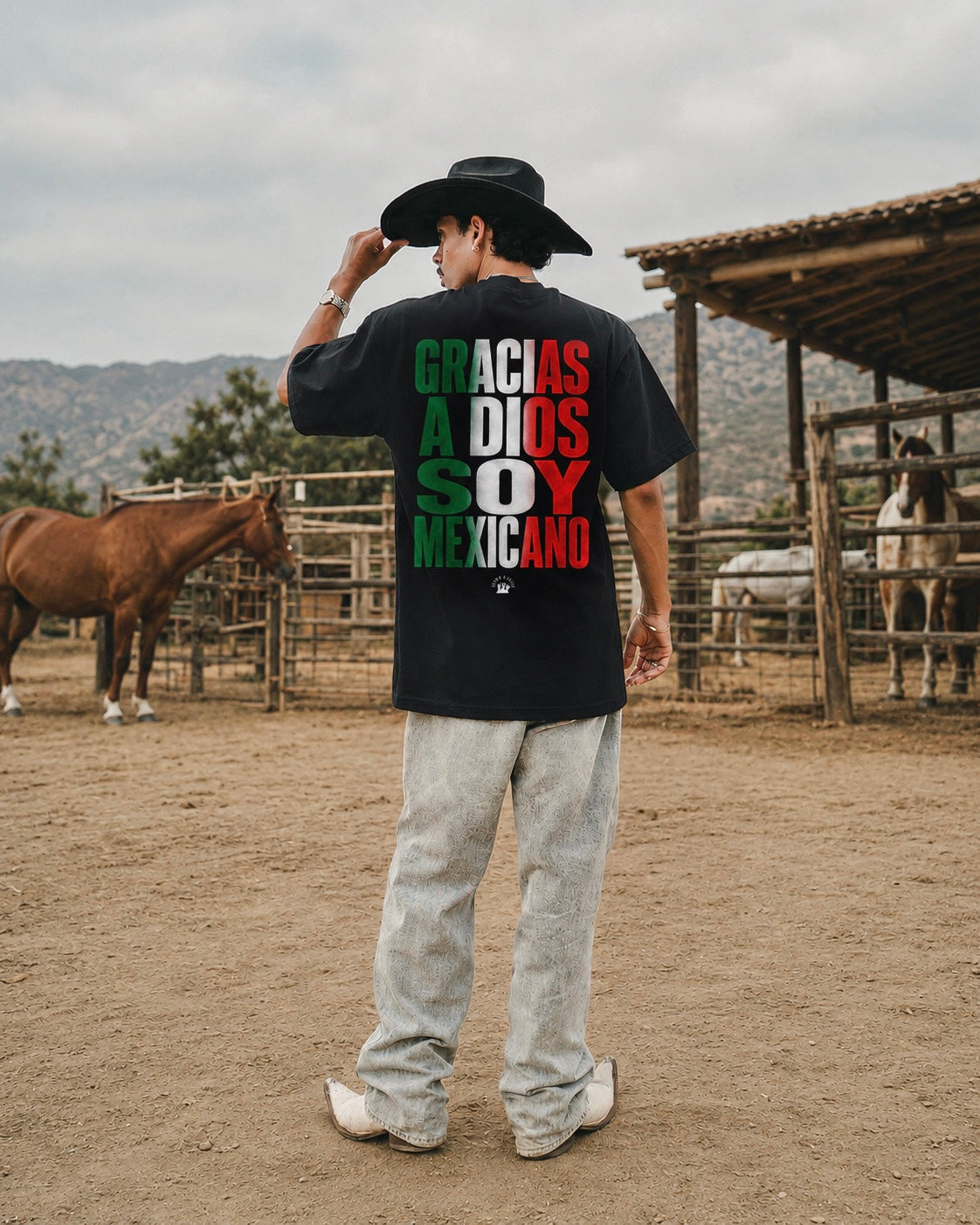 THE MEXICANO COLLECTION